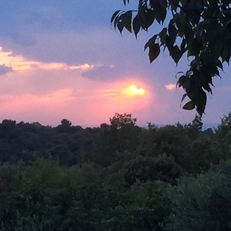 Gite Du Jardin Des Espuys Venasque Zewnętrze zdjęcie